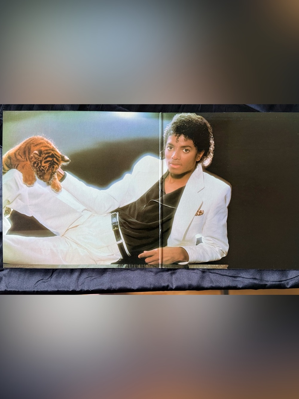 Michael Jackson - Thriller, c. 1982 Vinyl LP Original Pressing, Original..... - Picture 8 of 8
